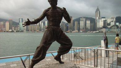 Bruce Lee Quiz